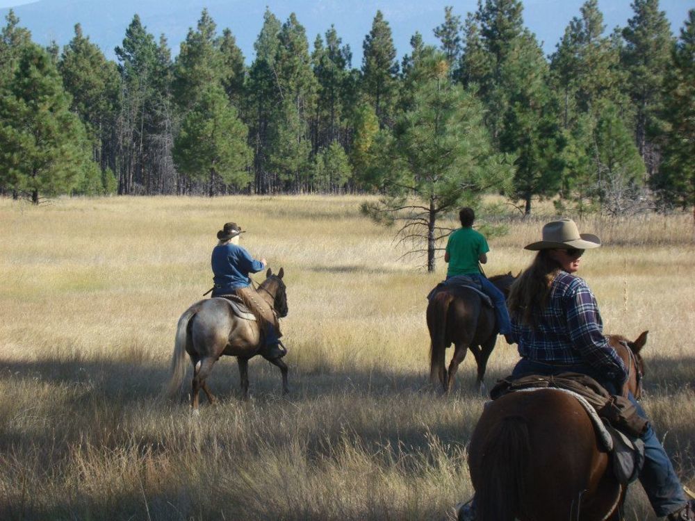 Dream Haven Guest Ranch Hotell Marion Eksteriør bilde